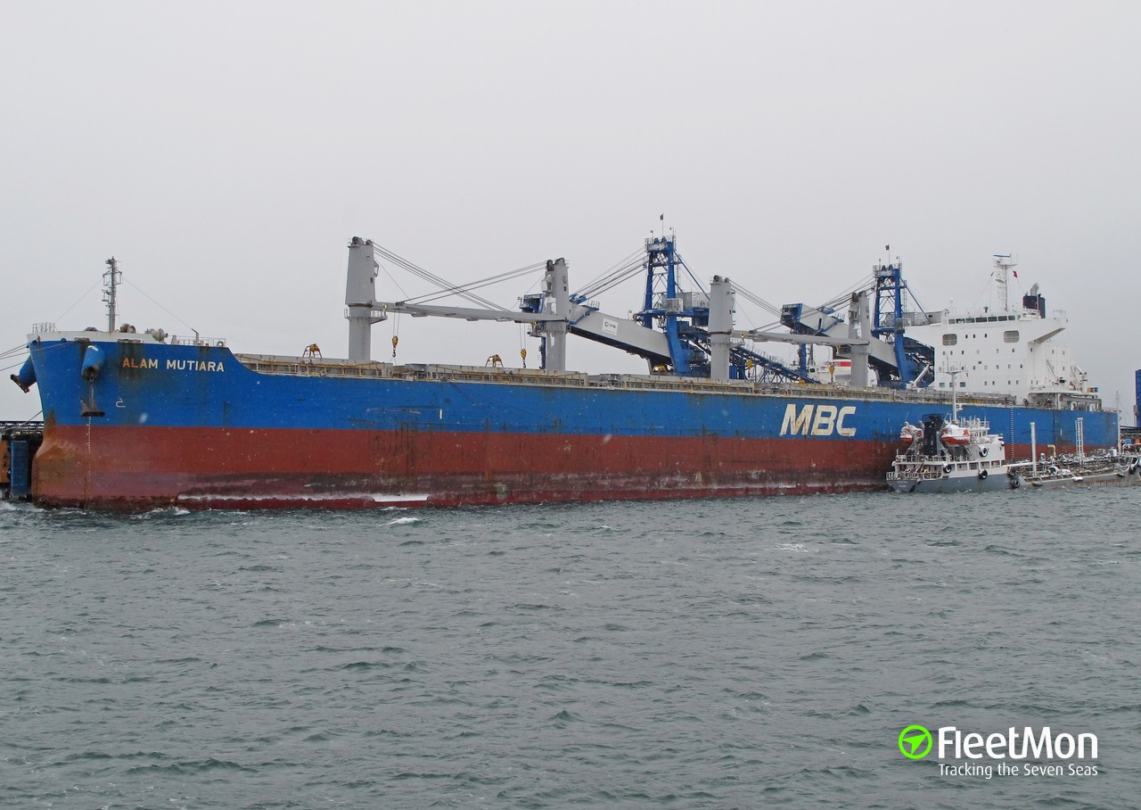 Vessel ALAM MUTIARA  Bulk carrier IMO 9615169 MMSI 373239000