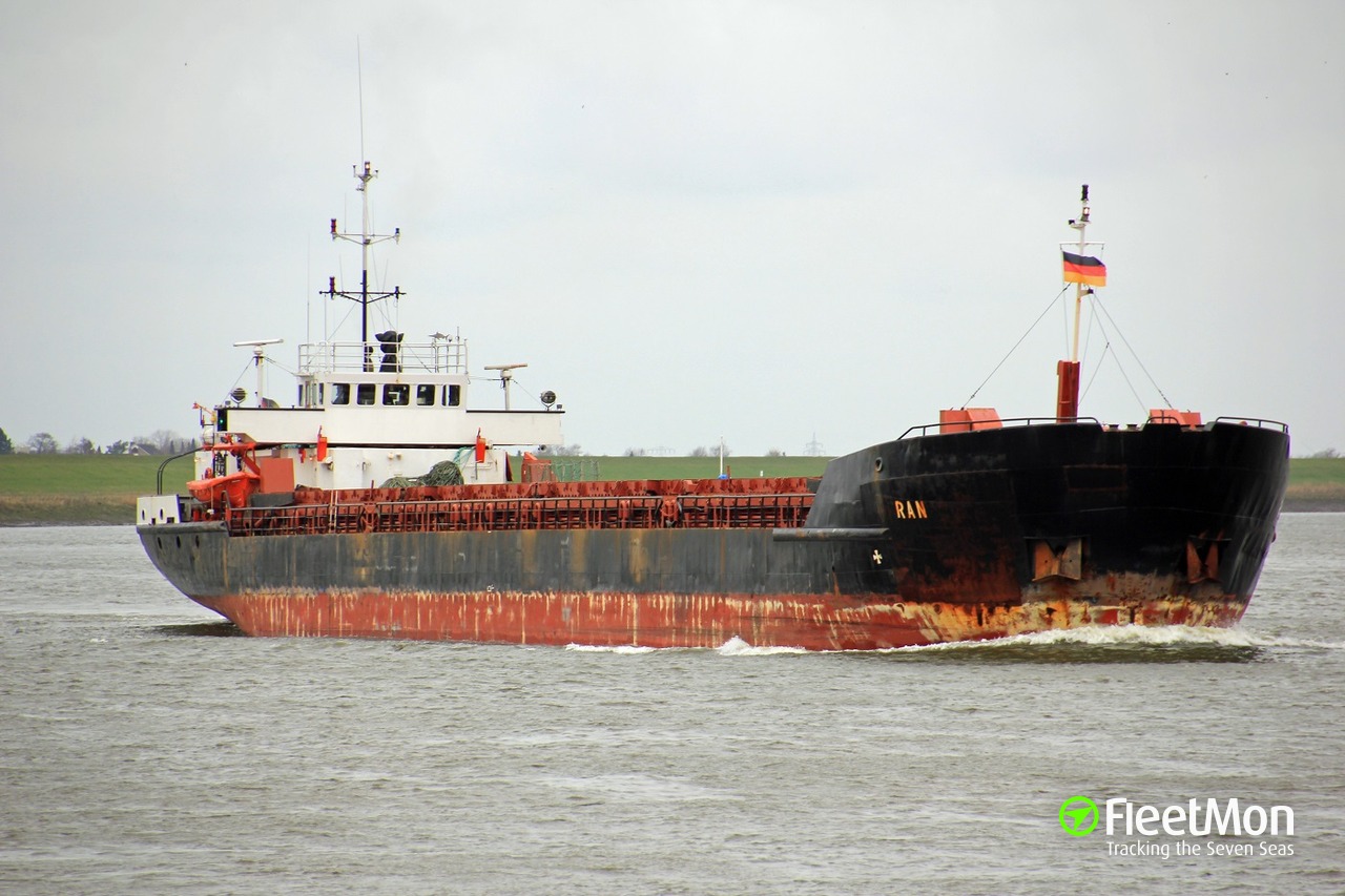 General cargo vessel что перевозит