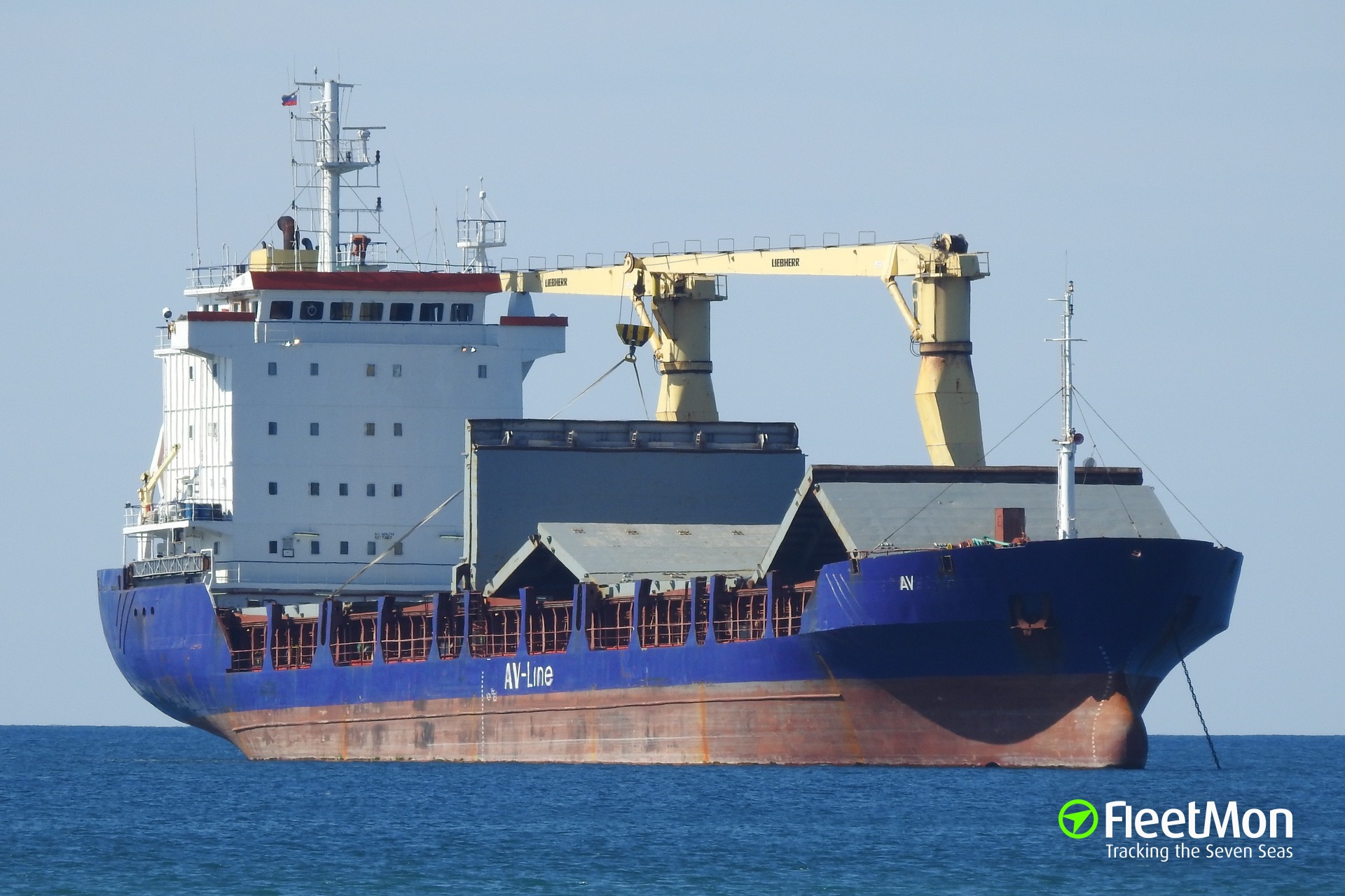 General cargo vessel что перевозит