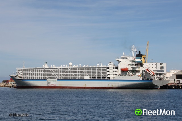 //photos.fleetmon.com/vessels/bashar-one-transport_8506361_1260487_Large.jpg