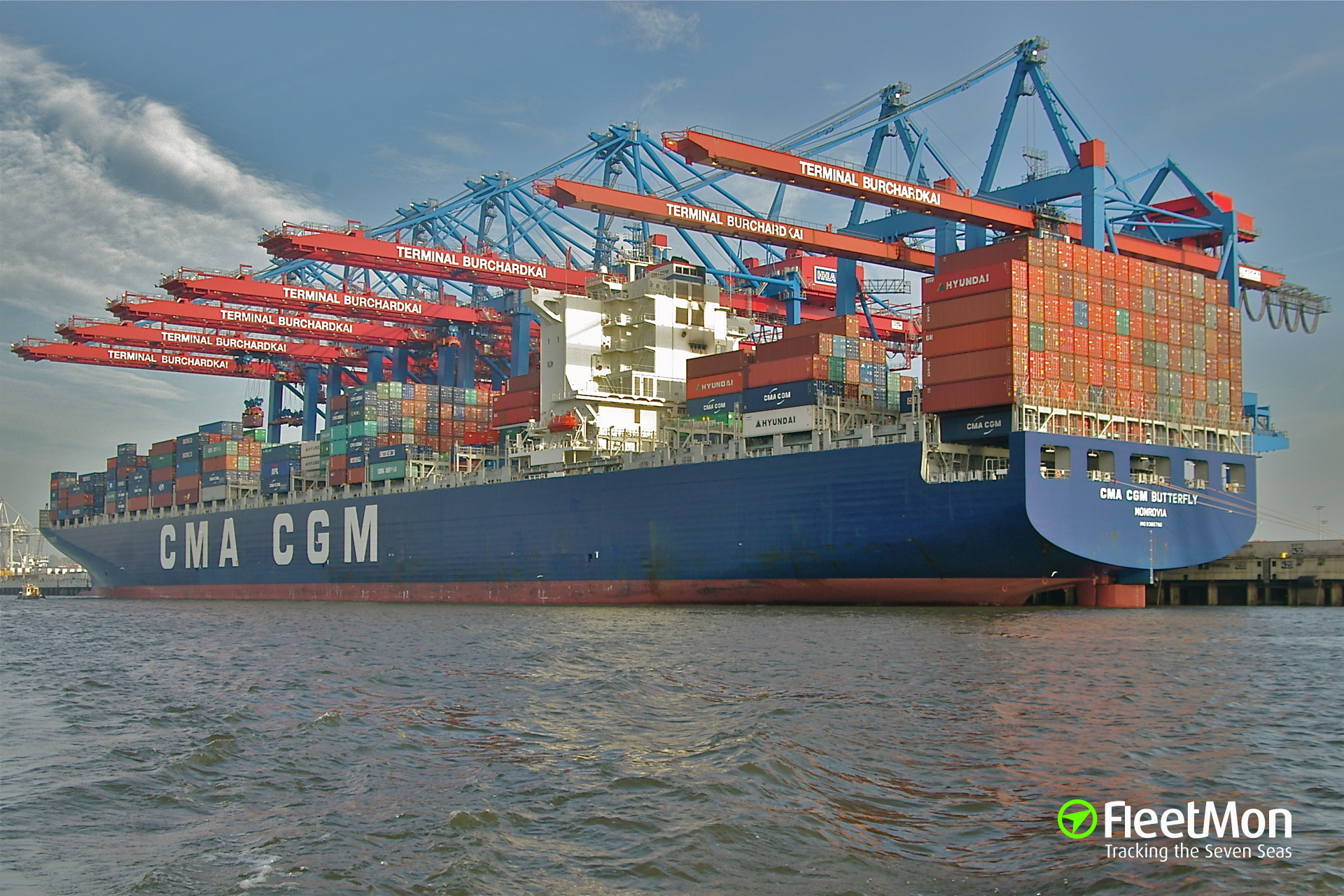 CMA CGM BUTTERFLY