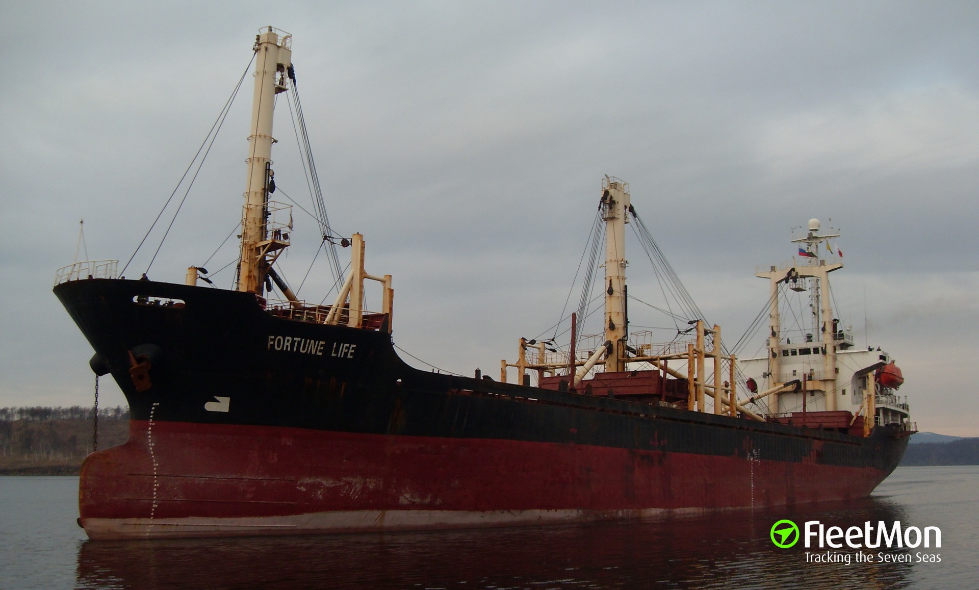 General cargo vessel что перевозит