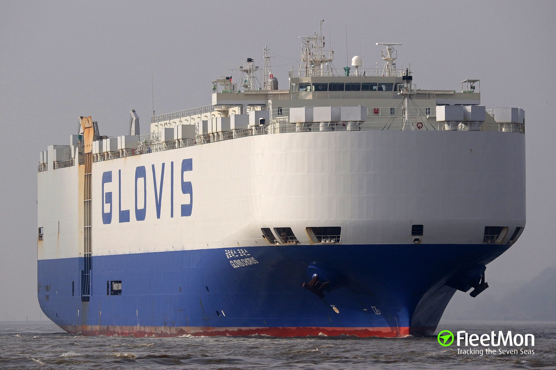 Hyundai glovis. Glovis ro-ro Vessel loading. Glovis ro-ro Vessel. Glovis - 300.