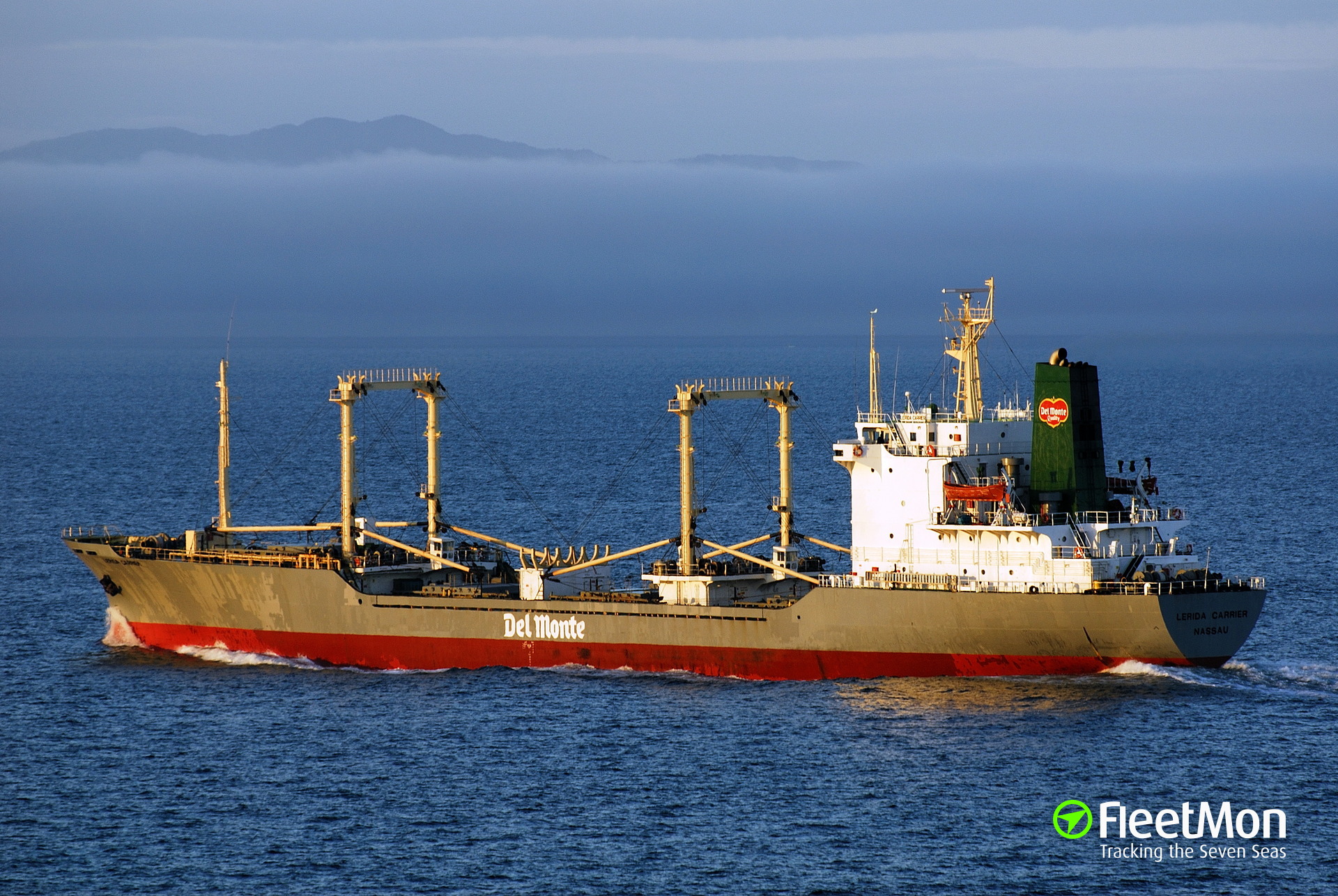 Местоположение судна гогланд рифер. Reefer Carrier Vessel. Судно Дон рифер. Судно Данидин рефрижераторное.