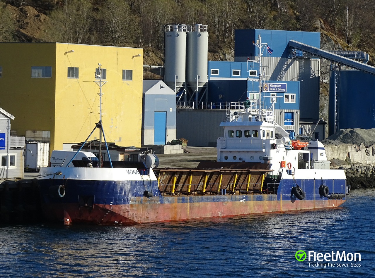 General cargo vessel что перевозит