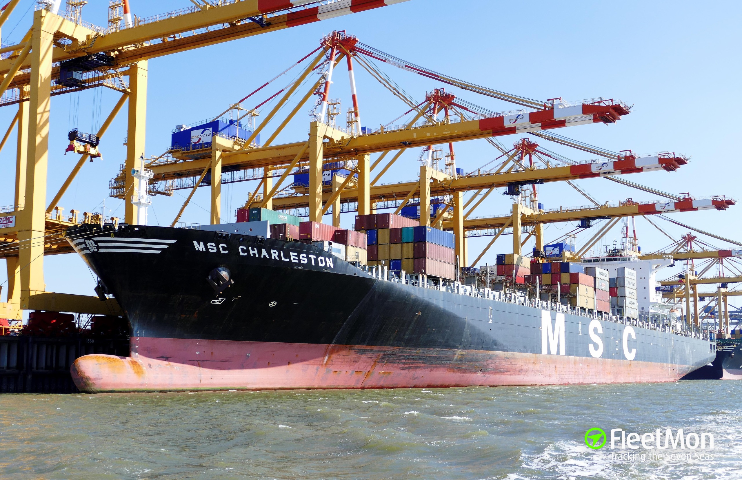 photo-of-msc-charleston-imo-9299537-mmsi-255806367-callsign-cqef4