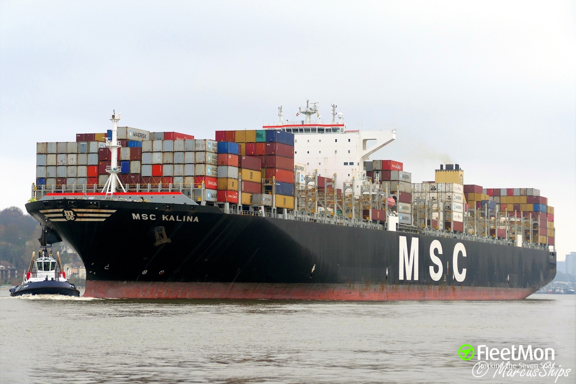 Photo of MSC KALINA (IMO: 9399026, MMSI: 351361000, Callsign: 3ETW2 ...