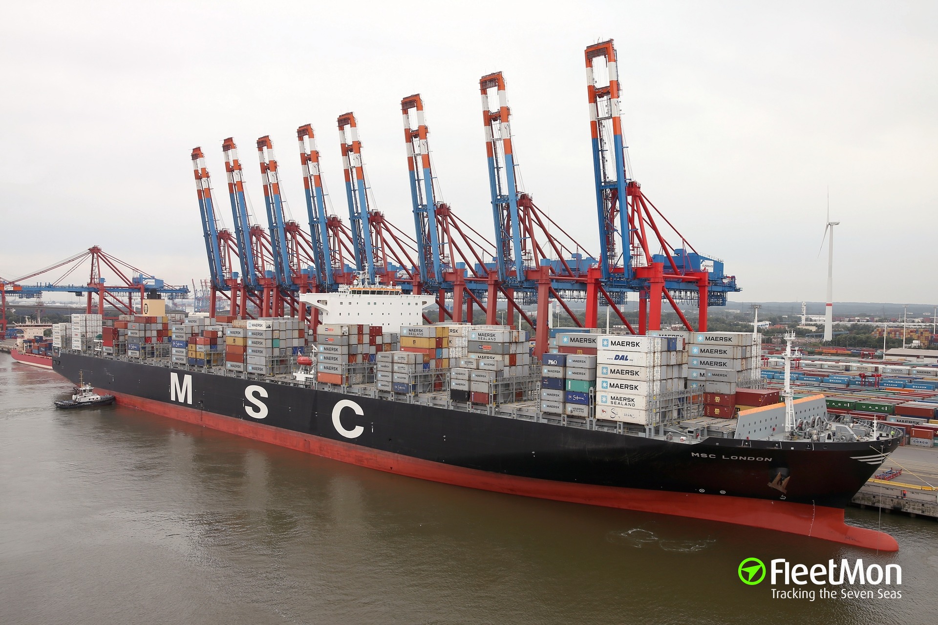 photo-of-msc-london-imo-9606302-mmsi-352853000-callsign-3fil2