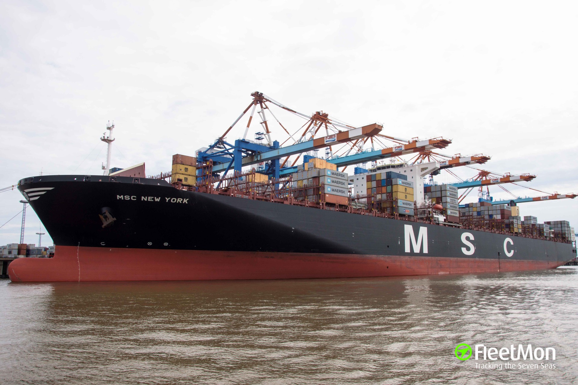 Photo of MSC NEW YORK (IMO 9606314, MMSI 352952000, Callsign HOFP