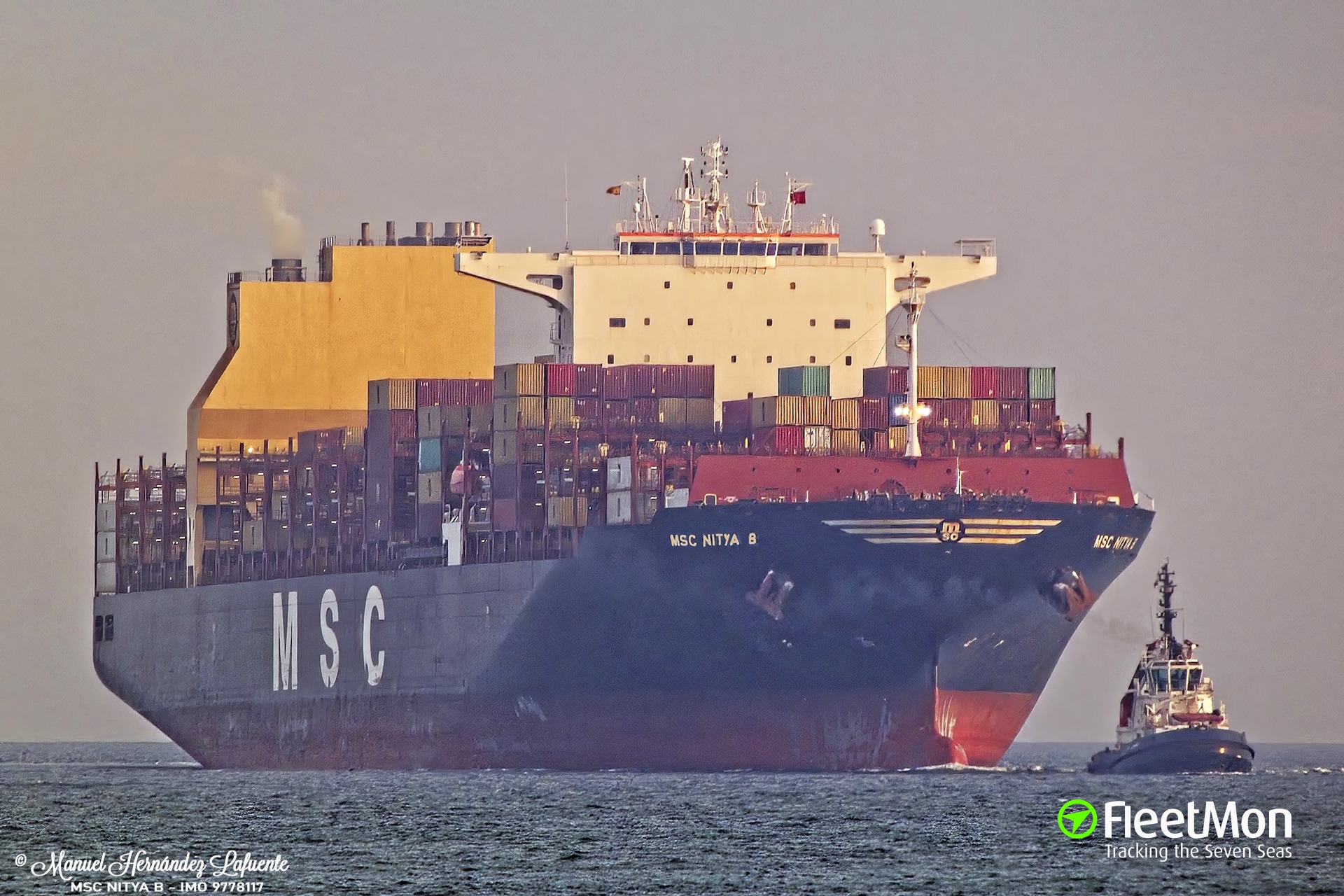 Photo Of MSC NITYA B (IMO: 9778117, MMSI: 255806029, Callsign: CQIP4 ...