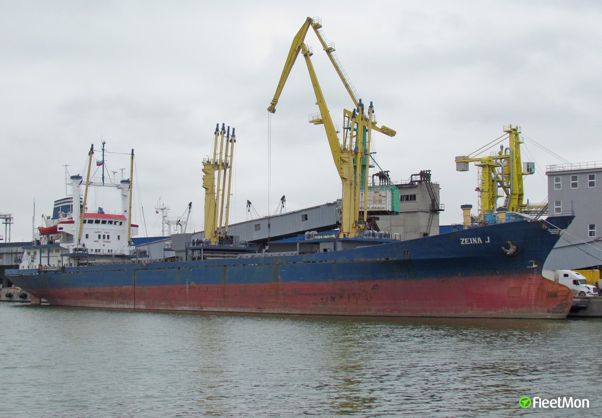 General cargo vessel что перевозит