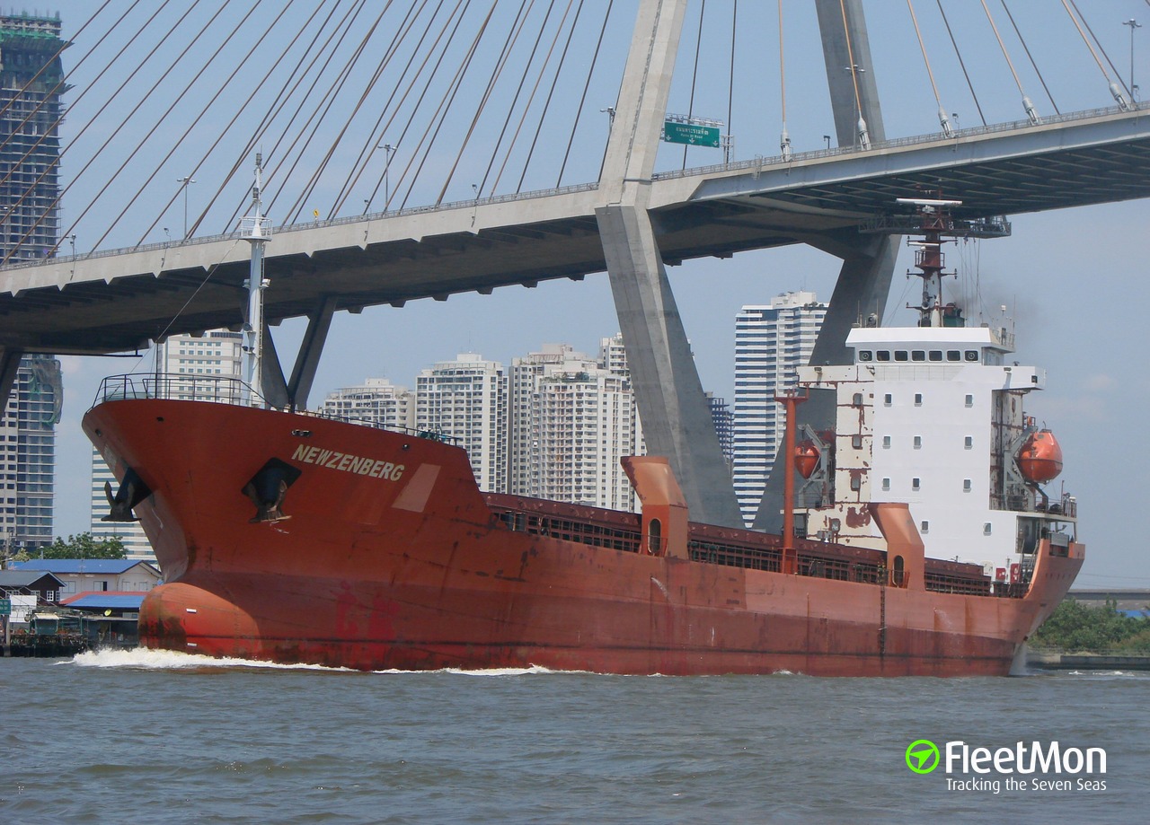 General cargo vessel что перевозит