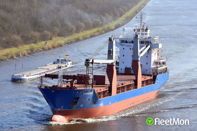 General cargo vessel что перевозит