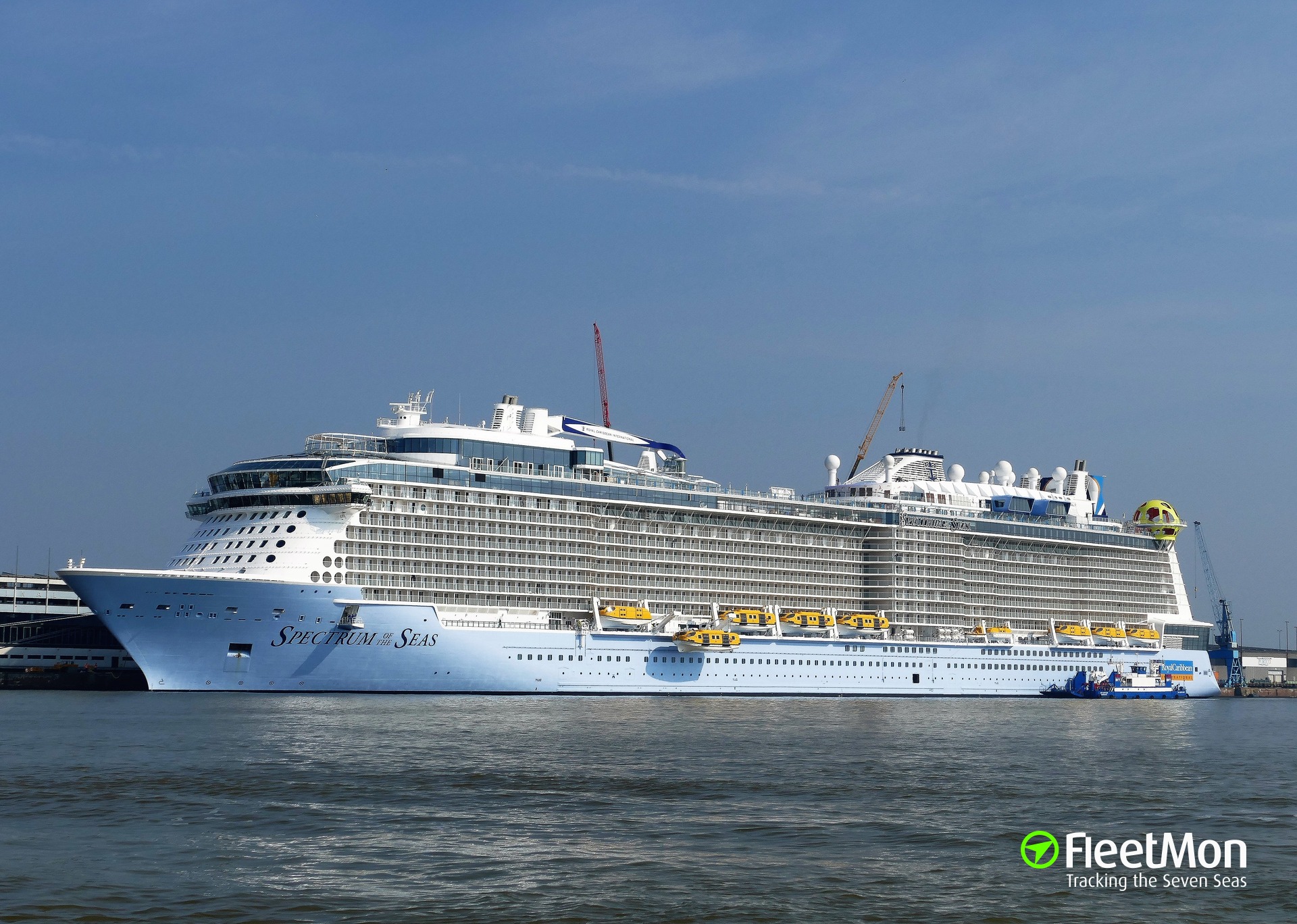 Photo of SPECTRUM OF THE SEAS (IMO: 9778856, MMSI: 311000749, Callsign