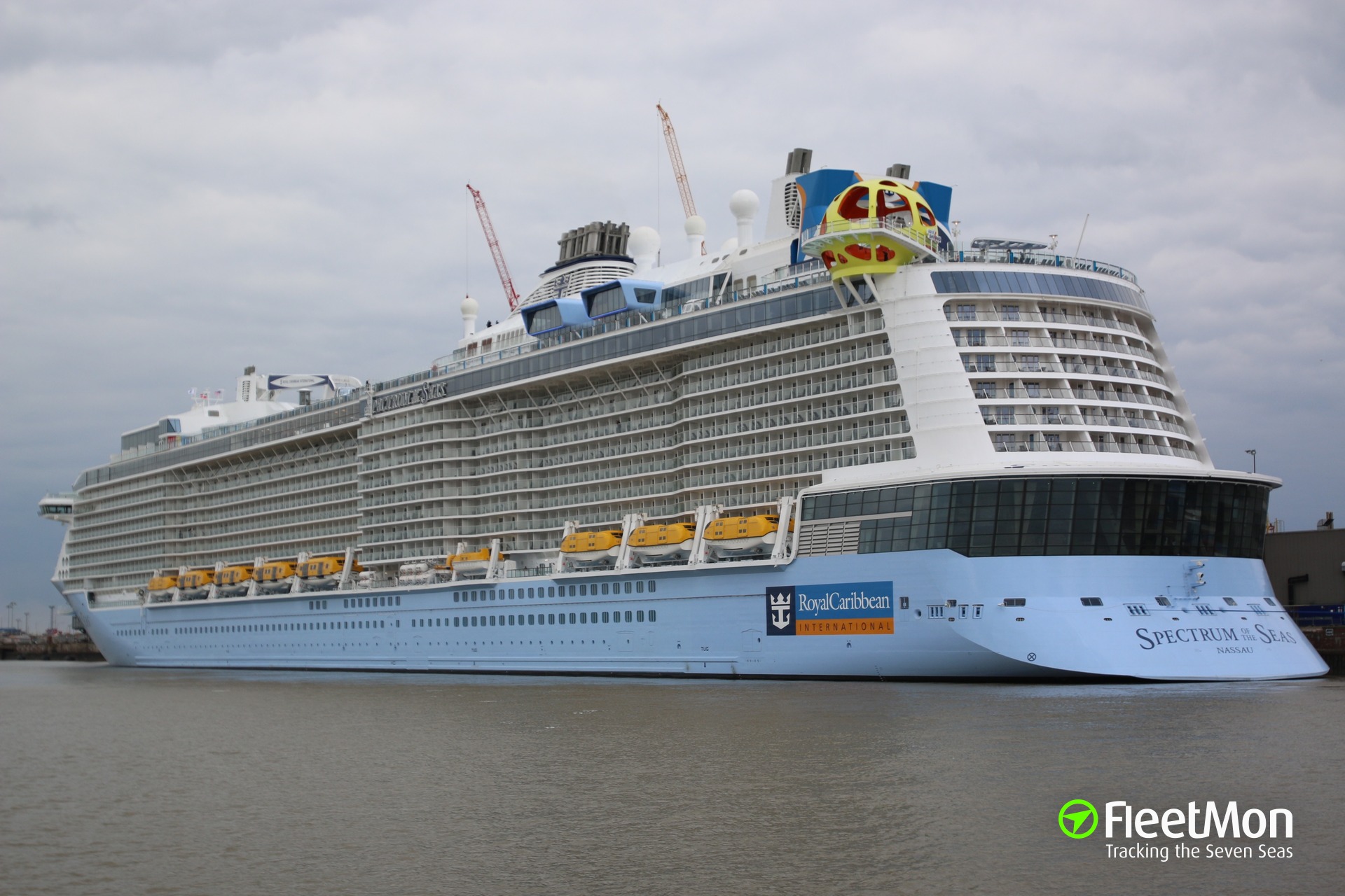 Photo of SPECTRUM OF THE SEAS (IMO: 9778856, MMSI: 311000749, Callsign ...