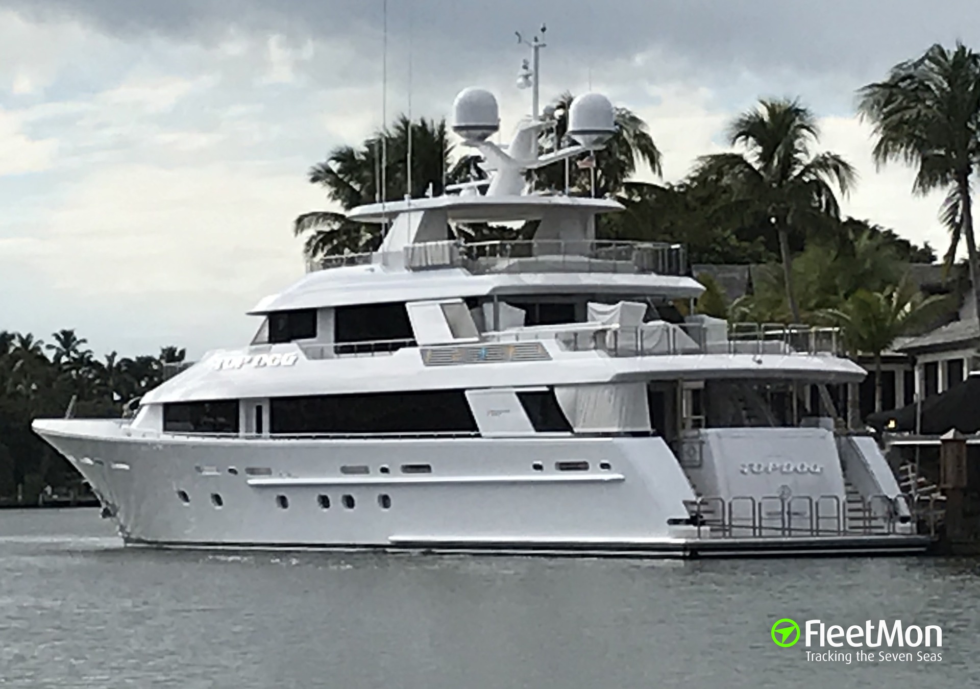 top dog yacht naples fl