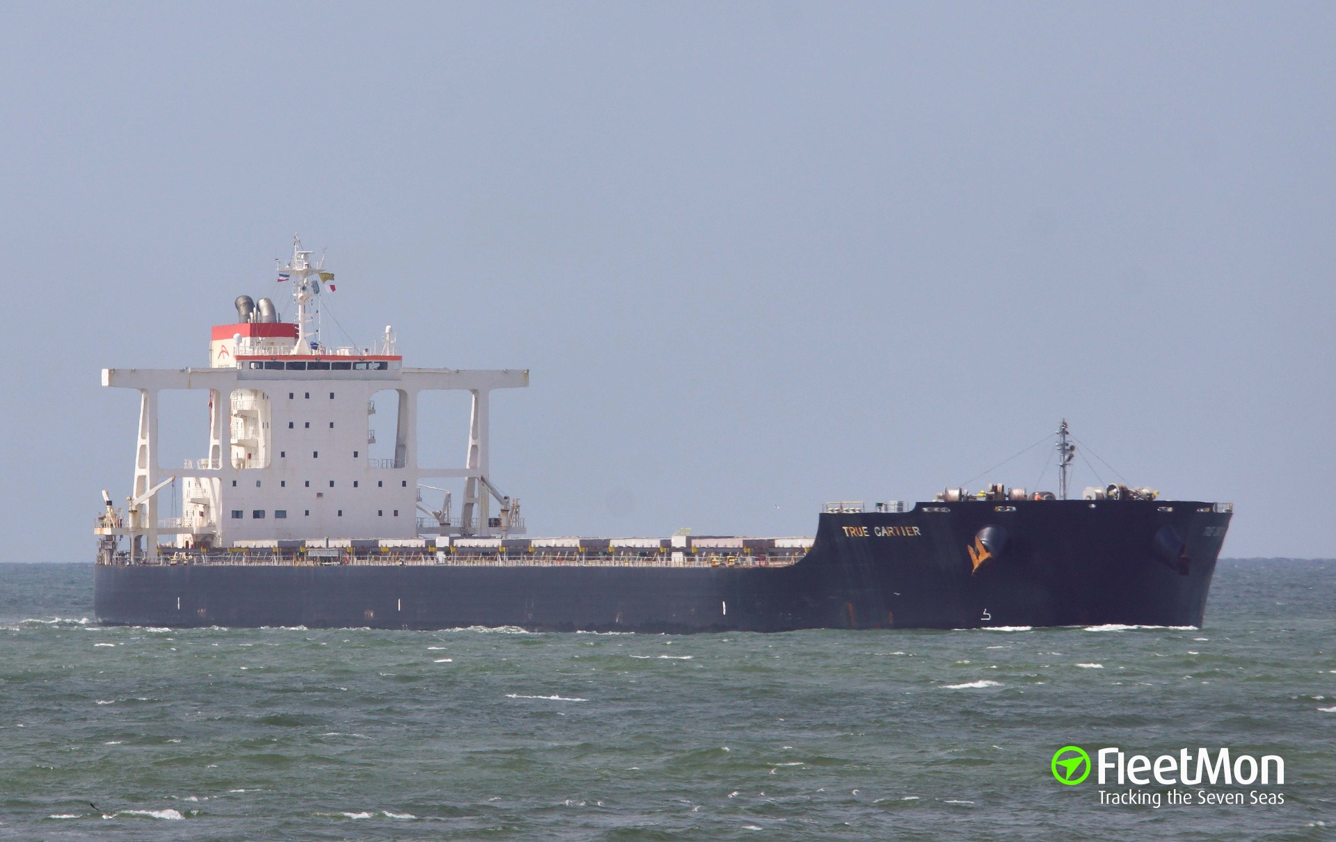 Vessel TRUE CARTIER Bulk carrier IMO 9691553 MMSI 636019005